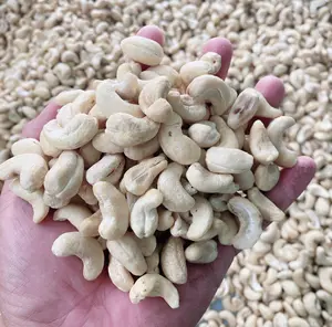 Kaju Cashew Nuts Raw Without Shell W320 W240 W450 W180 Fast Delivery OEM/ODM Packaging Vacuum Beal bags Vietnam Good Price -ANNA