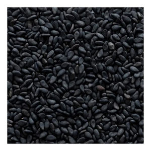 ซื้อเมล็ดงาดำคุณภาพสูง เหมาะสำหรับการแปรรูปอาหาร เบเกอรี่ และการใช้งานในเชิงอาหาร - Product Image 2