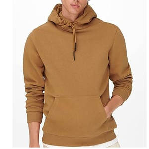 ODM OEM Men Winter 350g Fleece Cotton 45 Colors Hoodie Unisex Pullover Sweatshirt Dgt Printing Embroidery Plain Men Blank Hoodie - Product Image 2