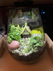 Terrarium en verre de bureau avec lumière de croissance 6,7 x 8,7 pouces Verre borosilicate Plante pour succulentes Mousse Miniature Jardinage Paysage - Product Image 6
