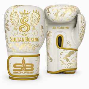 Equipo de boxeo de alta calidad - Product Image 4