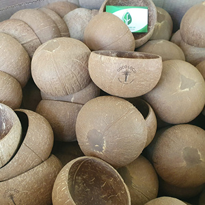 Juego de tazones desechables ecológicos de cáscara de coco pulida de Vietnam con muy buen precio para el mercado de la UE - Product Image 1