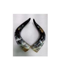 Búfalo par cuerno nuevo diseño pared decorativa búfalo par cuerno 100% color natural brillante pulido para cuerno de par de vaca - Product Image 3