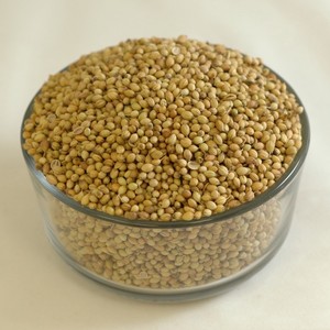 Graines de coriandre entières |   Origine sud-africaine, nettoyé à la machine, scellé sous vide |   Durée de conservation stable |   pour les mélanges d'épices au curry pour la marinade - Product Image 1