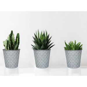 Jardinières vintage en métal avec support de vélo noir Jardinières décoratives en métal Pot de fleur Conteneur d'herbes à prix raisonnable - Product Image 6