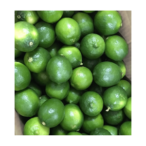 Vietnam citron vert frais sans pépins/citron frais/citron sans pépins nouvelle culture 2024 origine Vietnam de haute qualité et bon prix à partir de 99GD - Product Image 3