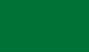 Vinilo adhesivo verde brillante 45cm (Dintex 73013) - Product Image 1