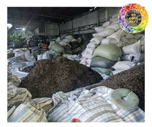 Champignons d'oreille noirs séchés du Vietnam de haute qualité, naturels, exportés par l'usine pour le marché de transformation alimentaire - Product Image 4