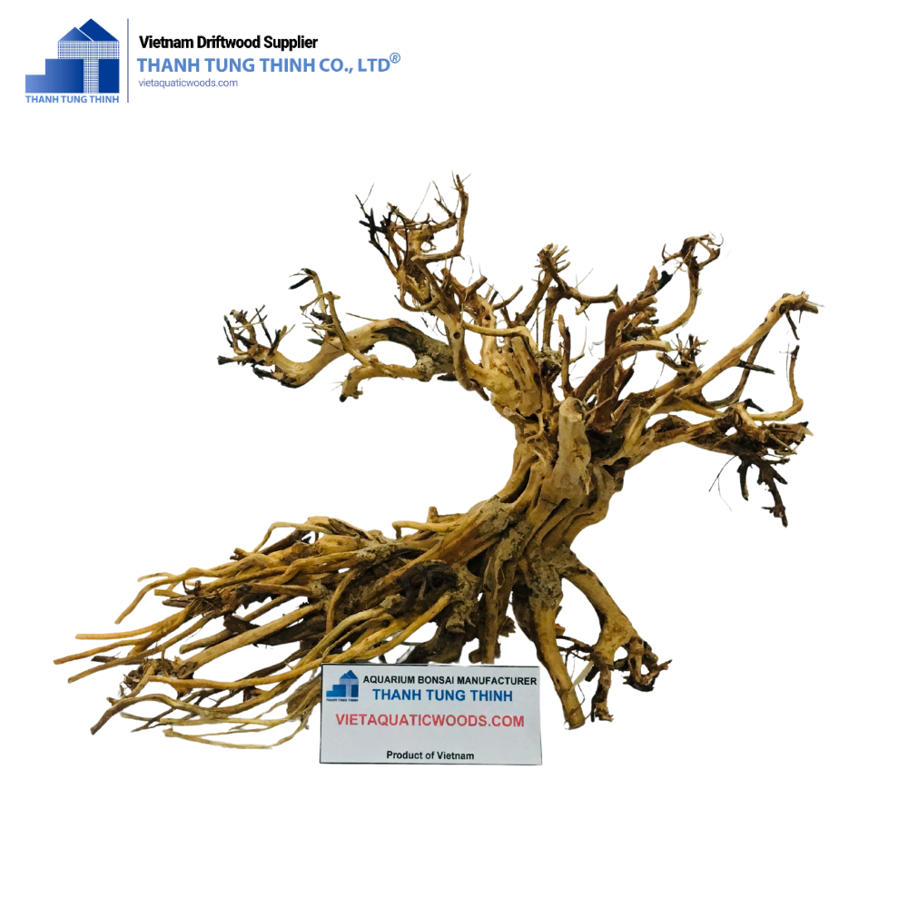 ธรรมชาติ