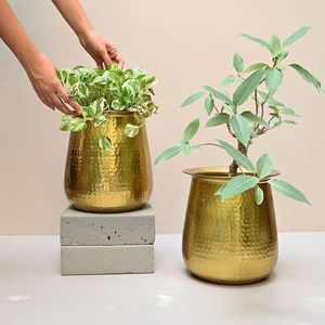 Elegante jardinera de metal con acabado dorado para decoración de entrada, hogar o jardín con plantas de palma o serpiente - Product Image 1
