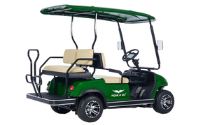 ข้อเสนอดรอปชิปสำหรับระบบไฟฟ้า4ที่นั่งกอล์ฟรถเข็นตอนนี้มีสินค้า - Product Image 4