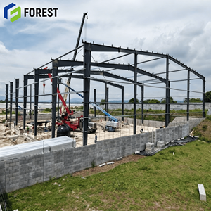 <b>Large</b> Span Painted Easy Installation Sustainable Modern Appearance Q355B Waterproof Industrial Steel Frame Building - Product Image 1