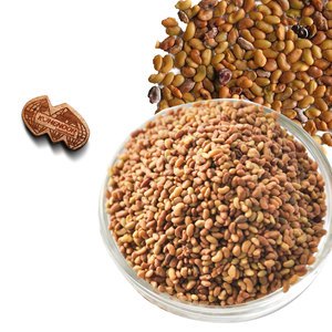 Luzerne | Herbe à haute teneur en protéines | Utilisation de la consommation animale - Product Image 4