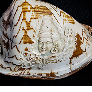 Cymbiola carving style Shiva God <b>Ornament</b> SEASHELL JEWELRY Religious Motif <b>Shell</b> Jewelry - Product Image 1
