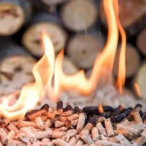 Granulés de bois de chêne de haute qualité pour le chauffage et comme combustible, en vente à bas prix - Product Image 1
