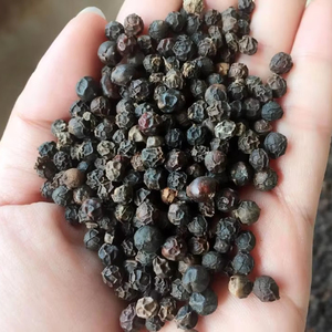Pimienta negra Especias y hierbas individuales Producto más vendido de calidad premium de Vietnam Hermoso color negro - Product Image 1