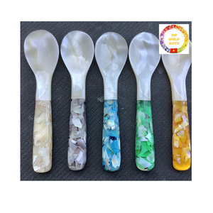 Premium Mother of Pearl Seashell Spoon for Caviar and Desserts Elegant Natural Material Ideal for Wholesale and Export - Product Image 1