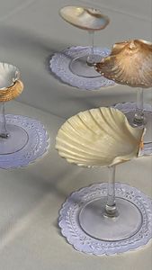 Seashell Drinking Cup Decorative Natural Conch Shell Goblet for Serving Wine and Spirits Handmade from Vietnam - Product Image 6