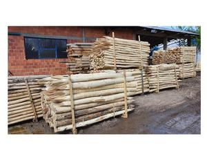 Postes de Madera de Acacia 80 mm x 2 m / Otros Tamaños Personalizados - Product Image 6