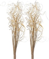 Fleur séchée décorative de fleur séchée de paume avec des remplisseurs de Vass de taille différente