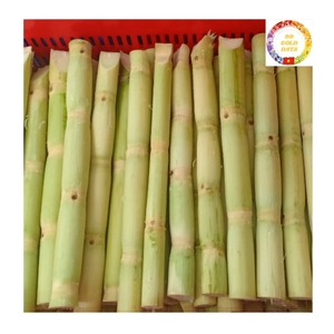 Iqf แท่งอ้อยแช่แข็งสำหรับใช้ปอกเปลือกน้ำผลไม้และชาบับเบิ้ลจากเวียดนาม - Product Image 5