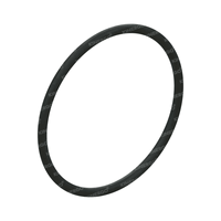Joint torique ORGM16 pour ORGM16 245 mm LU (3T40, 3L30, TH125C, TH200C, 4T60E, TH440-R4, TH700-R4, 4L60, 4L60E, S-10 uniquement)