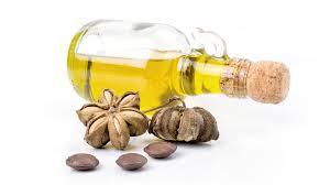 Proveedor a Granel de Aceite de Sachi Inchi Orgánico, OEM/ODM Disponible desde Vietnam - Product Image 4