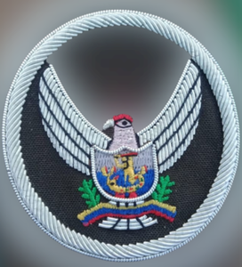 Patchs brodés faits à la main Offre Spéciale du fabricant de badges aigle noir et blanc personnalisables de haute qualité - Product Image 2