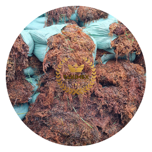 Fabricantes de algas secas y limpias de sargazo en Vietnam/Polvo de algas secas de sargazo-La mejor calidad para exportar - Product Image 1