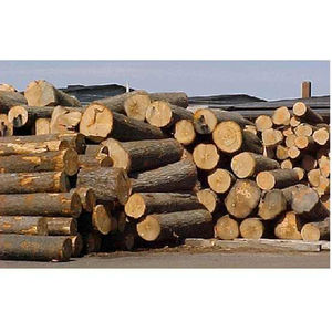 Bûches de pin de qualité supérieure avec des règles de calibrage strictes pour la conformité aux normes européennes et internationales du bois. - Product Image 1