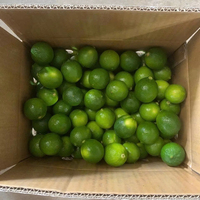 Verse pitloze limoenen citrusvruchten groen hoog sapgehalte 60-90 dagen houdbaarheid Vietnam export bulk groothandel