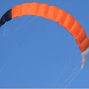 Kitesurf 2025 Duotone Dice SLS 10m Nouveau pour les événements estivaux - Product Image 3