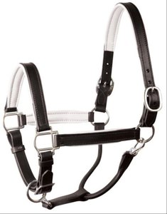 Les colliers de tête en cuir donnent à ce licou la boucle à double couronne avec un matériel en laiton argenté de couleur blanche - Product Image 1