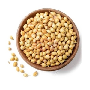Semillas de Cilantro (Dhaniya) Enteras, Secas, Crudas, Envasadas al Vacío, Especia Tradicional India - Product Image 1