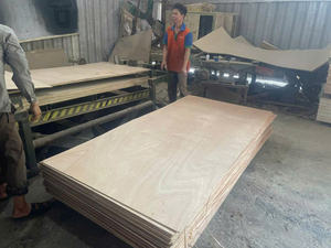 Madera contrachapada Okoume AA de alta calidad para uso en almacén Espesor 3mm 10mm 12mm 15mm 18mm con superficie de pulido HCPLY LUCYPLYWOOD Vietnam - Product Image 3