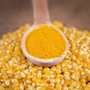 Yüksek <span class=keywords><strong>Protein</strong></span> beslenme-domuz sığır balığı diğer hayvanlar için bir torbada paketlenmiş 1mm mısır irmik zenginleştirilmiş-mısır Gluten unu - Product Image 6