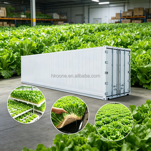 Ferme hydroponique professionnelle de plantes vertes en conteneurs avec système de rayonnage vertical et spectre LED intelligent pour une croissance optimale des plantes - Product Image 3