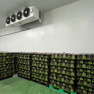 ผลไม้รสเปรี้ยวมะนาวสดไร้เมล็ดปริมาณมากสินค้าส่งออกจากเวียดนาม - Product Image 4