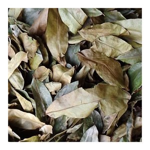 Té de hojas de Graviola Guanábana seca Paquete a granel de hierbas Té de hojas sueltas de Annona Muricata Té de hojas secas sabrosas - Product Image 2