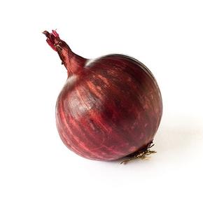 Oignons rouges et blancs frais biologiques à vendre à prix avantageux, approvisionnement en gros pour l'exportation et l'industrie alimentaire - Product Image 5