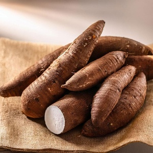 Producto Superior, Raíz de Yuca Fresca de Primera Calidad, Tubérculos Dulces en Venta - Product Image 1