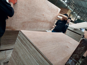 11x915x1830mm Bintangor face contreplaqué commercial fabriqué au Vietnam - Product Image 5