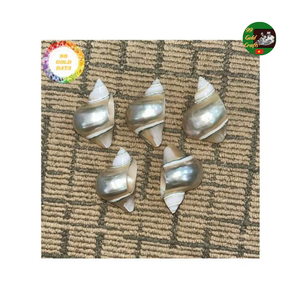 Anillos de Servilleta Hechos a Mano con Conchas Marinas Naturales para Decoración, Anillos de Servilleta de Concha Marina a Precio de Fábrica con Acabado Pulido para Banquetes de Lujo - Product Image 3