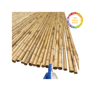 Postes de bambú ecológico para paisajismo, diseño de jardines y aplicaciones creativas artesanales - Product Image 5