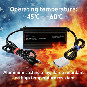 Cargador Rápido de 800W 60V 10A LiFePO4 para Vehículos Eléctricos de Tres Ruedas con Resistencia al Agua IP34 y Apagado Automático - Product Image 5