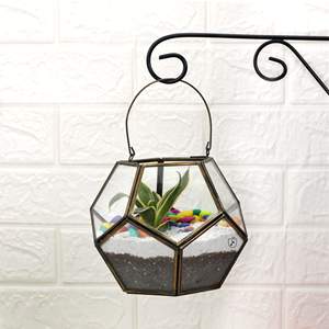 Latest Design Creative Personality <b>Glass</b> <b>Terrarium</b> Customized Color & Size Handmade Superior Quality Indoor Lighting Decorative - Product Image 5