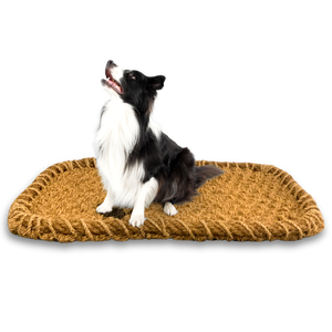 Hot Selling PALM MAT / COIR MAT for PET High-Quality and Durable: Pet Mat From Natural Materials, Vietnam - Product Image 1