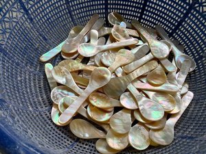 Cuillère artisanale vietnamienne en coquillage, fabriquée en nacre, pour la décoration de la maison et l'utilisation à table. - Product Image 3