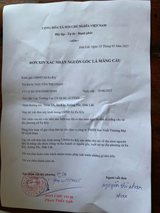 Bâton à mâcher durable en bois pour chien Jouet à mâcher écologique sans danger pour les chiens Vente en gros Commande en gros Fabricant Fournisseur - Product Image 6