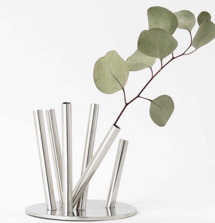 ตามที่แสดง